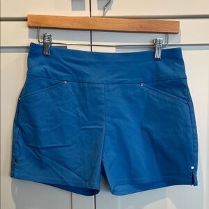 INC International Concepts Blue Shorts Size 0